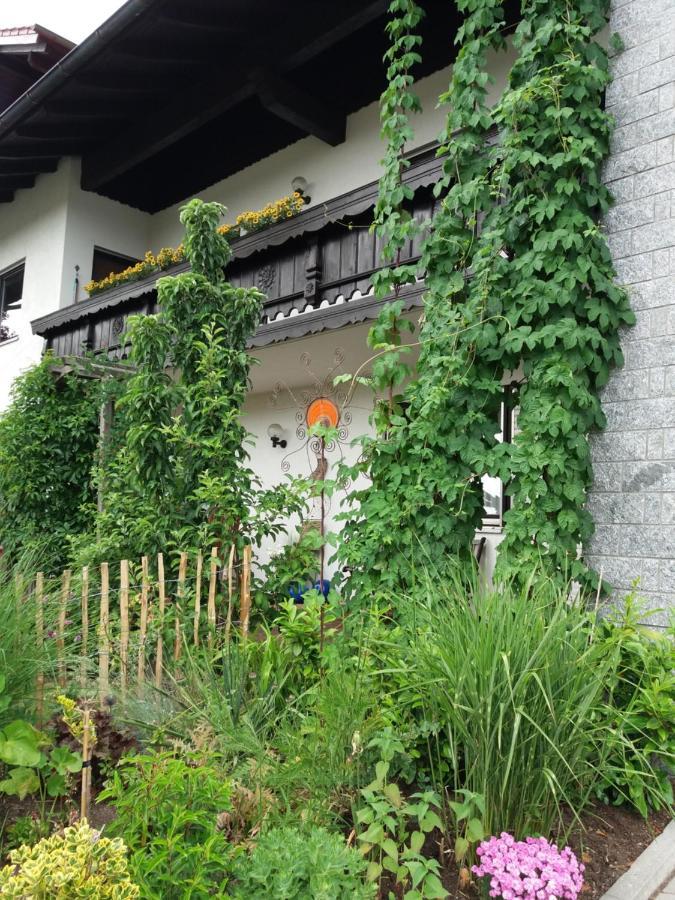 Böbrach Ferienwohnung Gegenfurtner מראה חיצוני תמונה